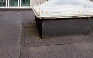 disadvantages of Henfords Marsh flat roofs