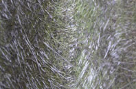 Henfords Marsh fibreglass roof work